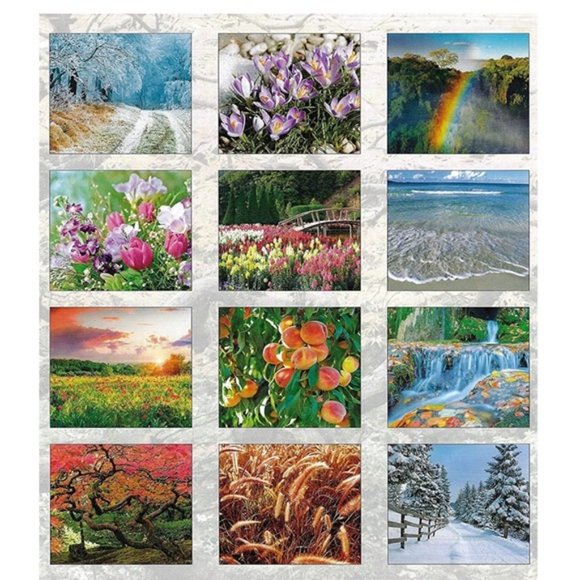 2023 Calenda Seasons in Nature 16 Month Wall Calendar Gift Full Size 12 X 22 in - Picture 10 of 10